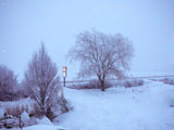 random pics