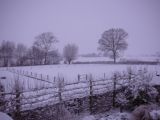 random pics