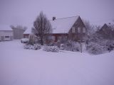 random pics